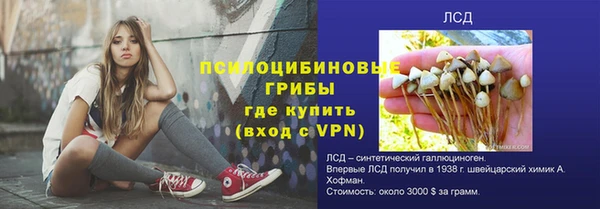 синтетический гашиш Алексеевка