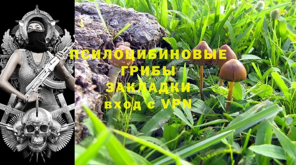 молекула духа Алзамай