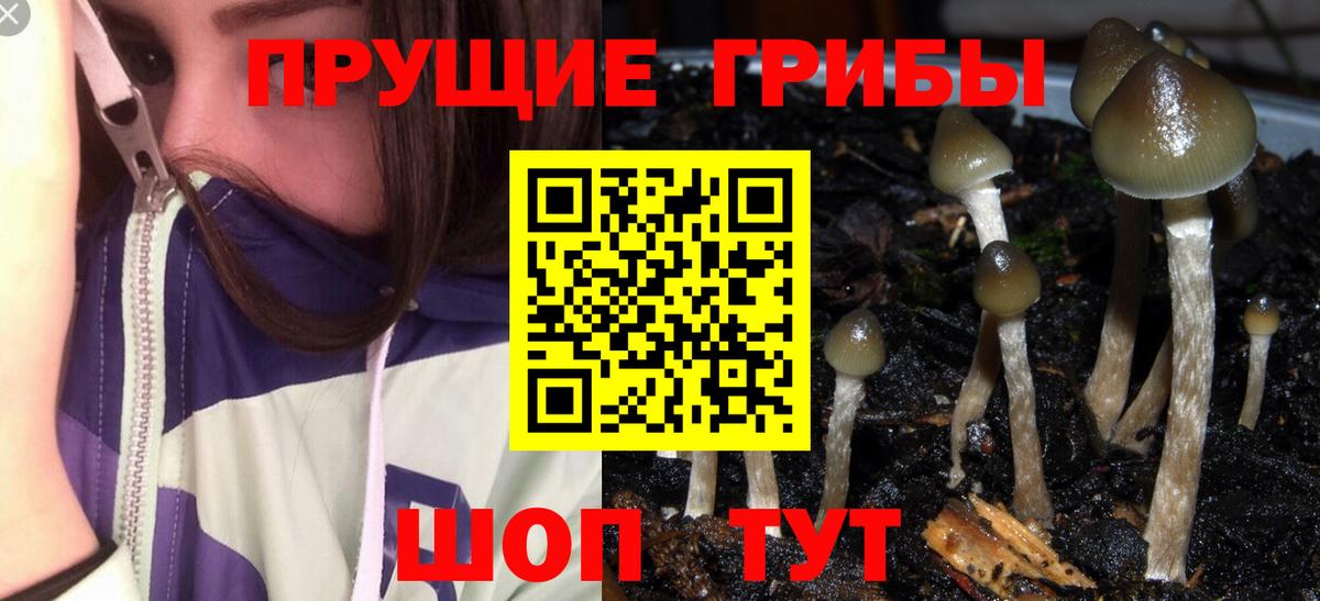 Псилоцибиновые грибы GOLDEN TEACHER Белебей